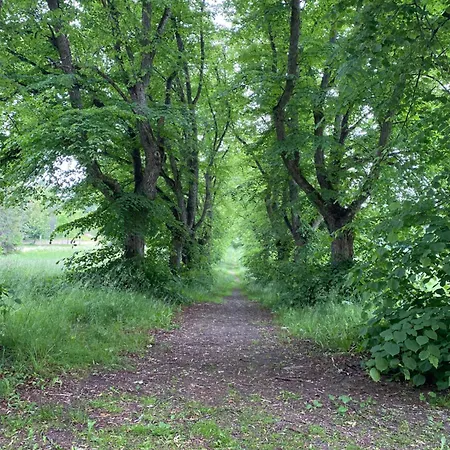 Teijo's Cozy House Teijo